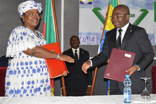 Le Gabon et le Cameroun préparent l’interconnexion de leurs réseaux de télécommunications haut débit à fibre optique