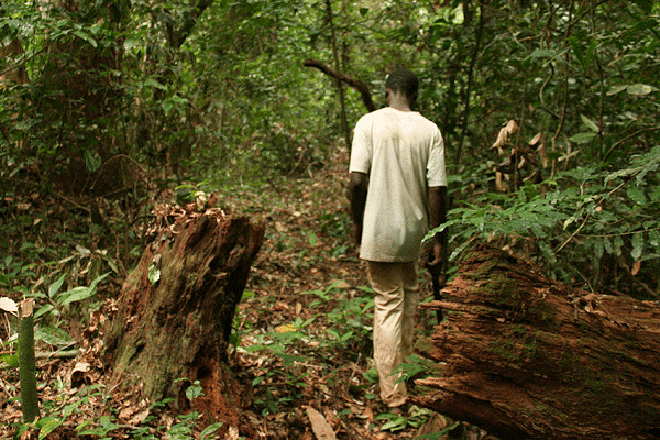 Le Gabon publie ses contrats forestiers, pétroliers et miniers conformément aux exigences du FMI et de l’ITIE