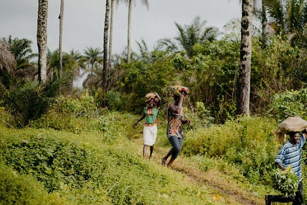 Gabon et Congo : ClientEarth veut renforcer les droits des femmes dans la législation du secteur forestier