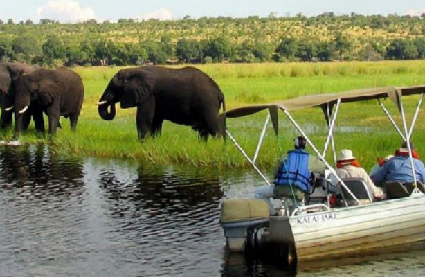 Tourisme : l’Agatour et le Musée national signent une convention pour promouvoir la destination Gabon