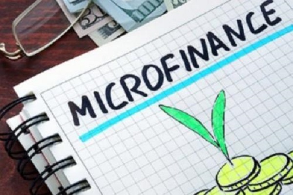 Microfinance : Finam, Loxia, EDG et Express-Union regroupent 91% des clients du secteur