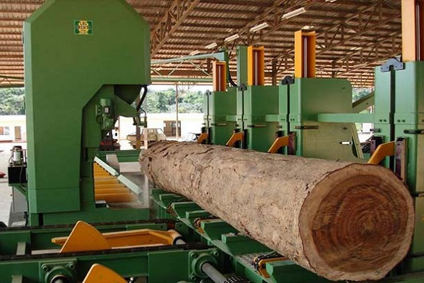 Nkok : Gabon Timber devient le 12e producteur de bois à obtenir la certification FSC