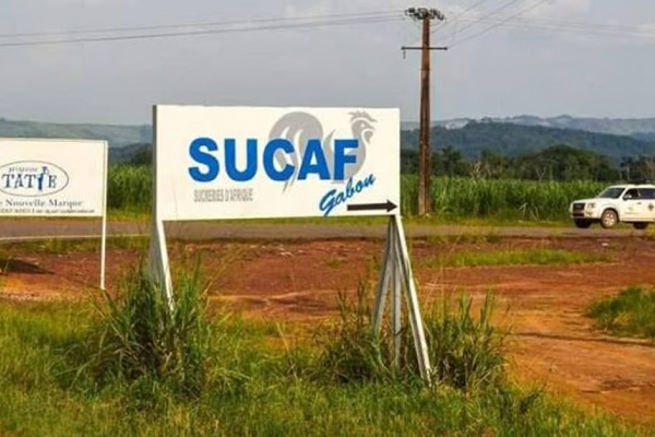 Sucre : pour limiter les pénuries, le nouvel acquéreur de Sucaf veut installer une usine industrielle à Libreville