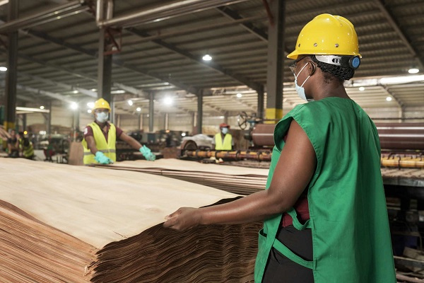 L’indice des industries du bois enregistre une croissance de 4 % au troisième trimestre 2024