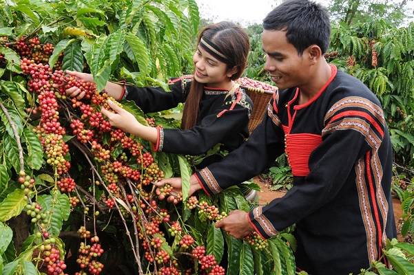 Agriculture, énergies, numérique : le Gabon prépare une mission économique au Vietnam et au Cambodge