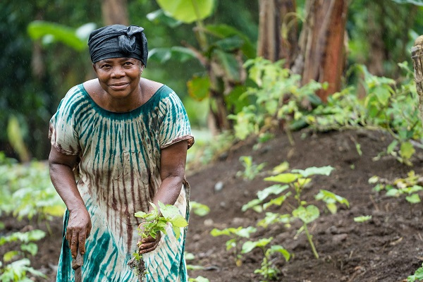 Le Gabon prévoit d&#039;investir 58,6 milliards FCFA sur trois ans pour developer son secteur agricole