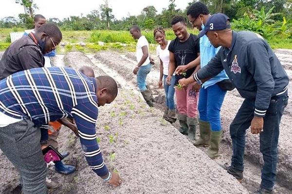 Prodece : des terres pour 100 jeunes gabonais formés aux métiers agricoles