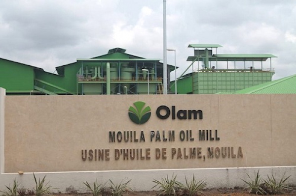 Démarrage timide du recrutement de 1000 ouvriers agricoles chez Olam Palm Gabon à Mouila