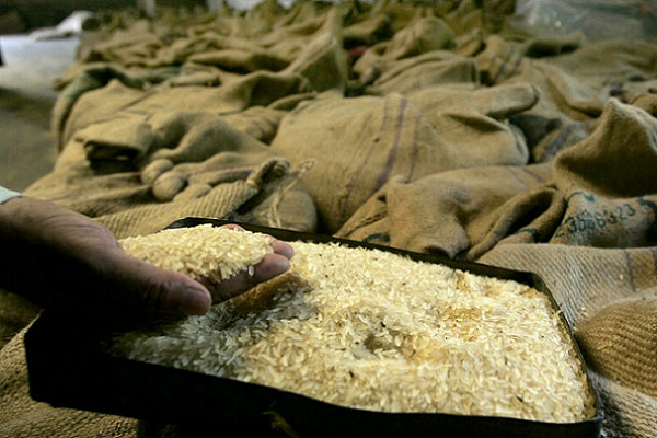 Grand importateur de riz, le Gabon veut produire 20 000 tonnes de cette céréale d’ici 2022