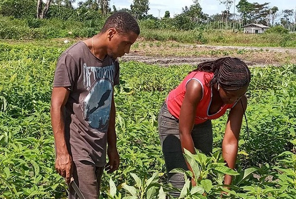 Cap sur l’autonomisation des jeunes : 14 840 insertions professionnelles facilitées au Gabon en 3 ans