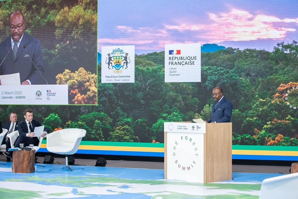 Préservation des forêts : One Summit Forest accouche d’un fonds de plus de 65 milliards de FCFA pour le bassin du Congo