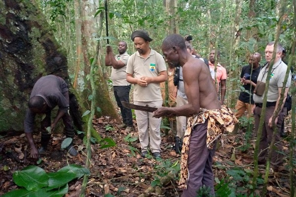 Le gouvernement annonce l’attribution de 205 508 hectares de forêt communautaires sur le territoire