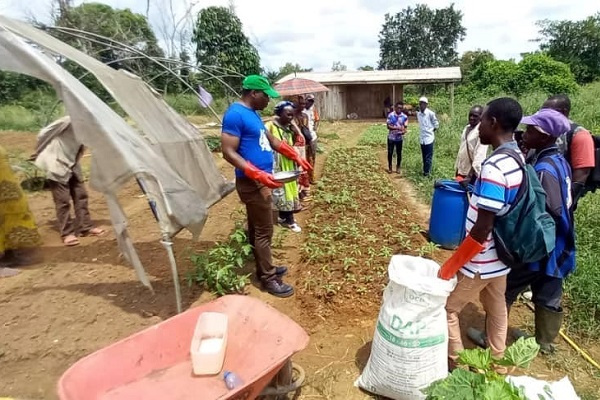 Des agriculteurs gabonais initiés à la bonne utilisation des engrais marocains