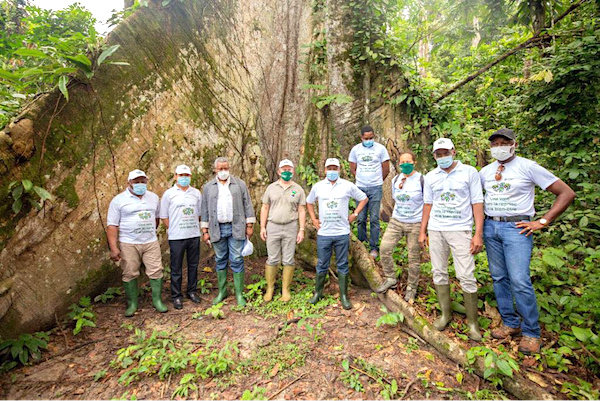 Ressources forestières: le Gabon renforce le potentiel des essences dans l’arboretum de Sibang