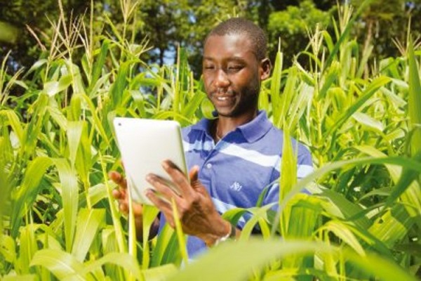 Statistiques agricoles par satellite : l’agence spatiale européenne appuie le Gabon