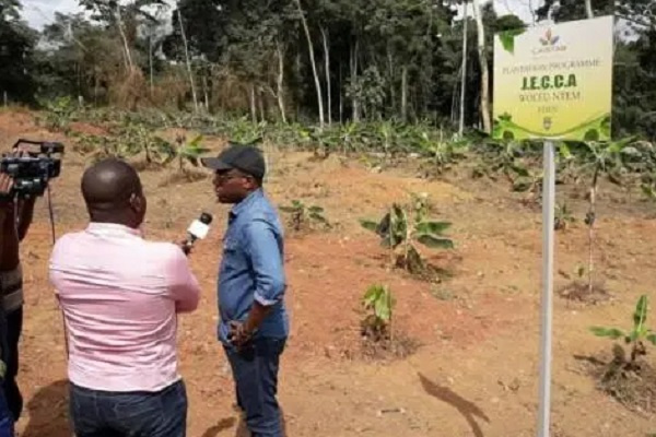 183 ha déjà aménagés dans Woleu-Ntem pour booster la filière cacao-café au Gabon