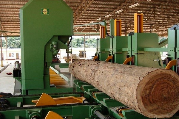 Industrie du bois : l’activité reprend après le ralentissement enregistré au 3ᵉ trimestre en raison du contexte électoral