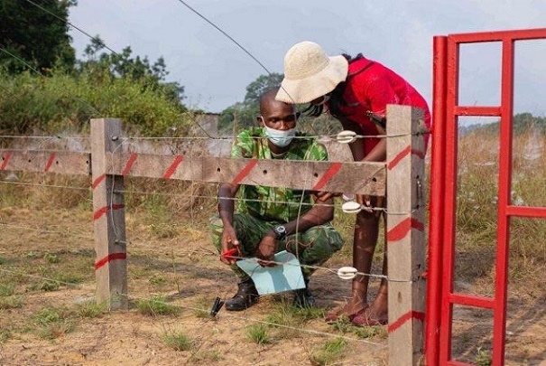 Parc de Moukalaba-Doudou : une barrière électrique de 4 Km érigée pour protéger les populations contre les éléphants